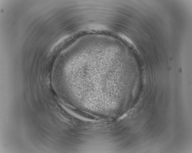 X0000074291112200609151910