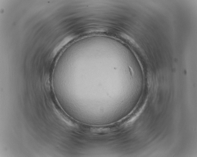 X0000074291113200609151910