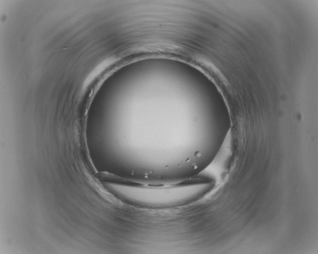 X0000074291114200609151910