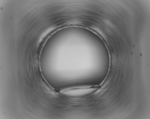 X0000074291115200609151910