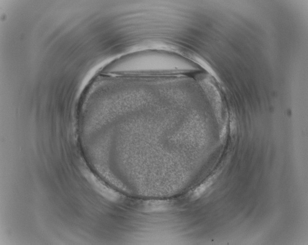 X0000074291116200609151910