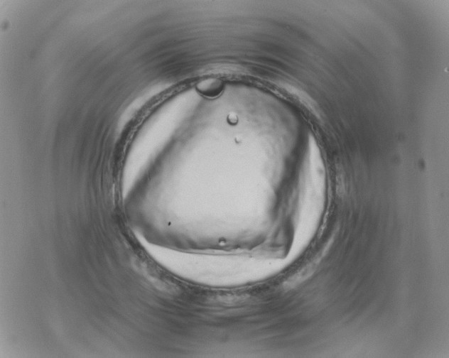 X0000074291117200609151910