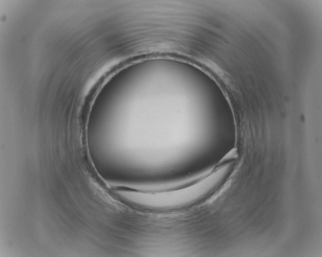 X0000074291118200609151910