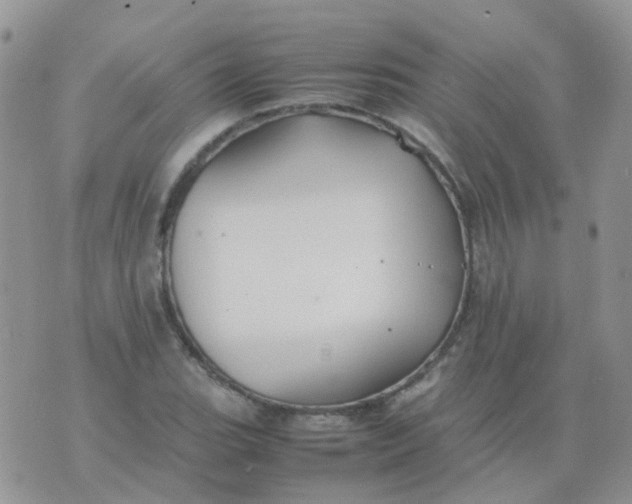 X0000074291119200609151910