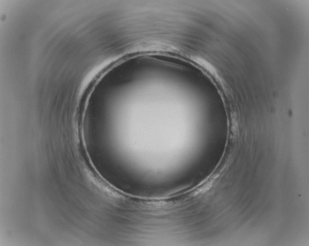 X0000074291120200609151910