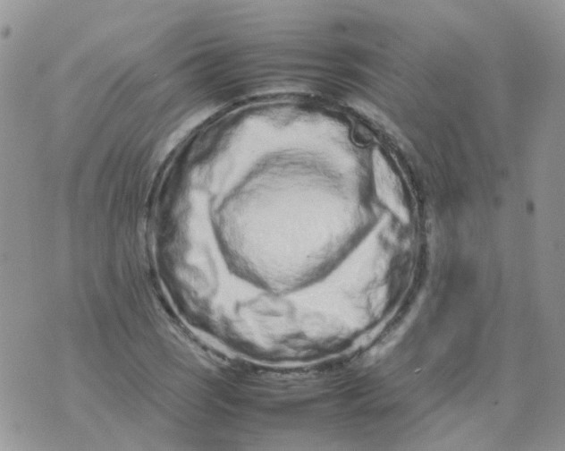 X0000074291121200609151910