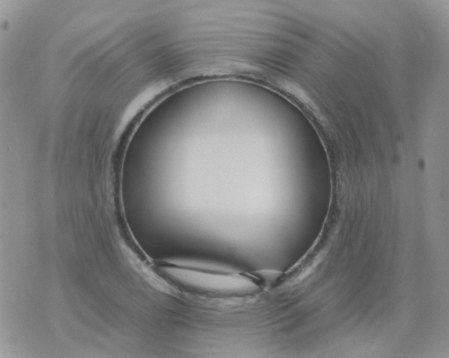 X0000074291122200609151910