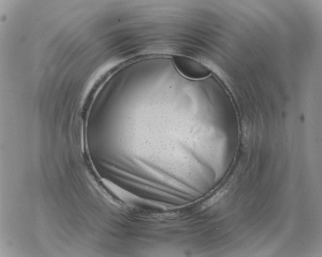 X0000074291123200609151910