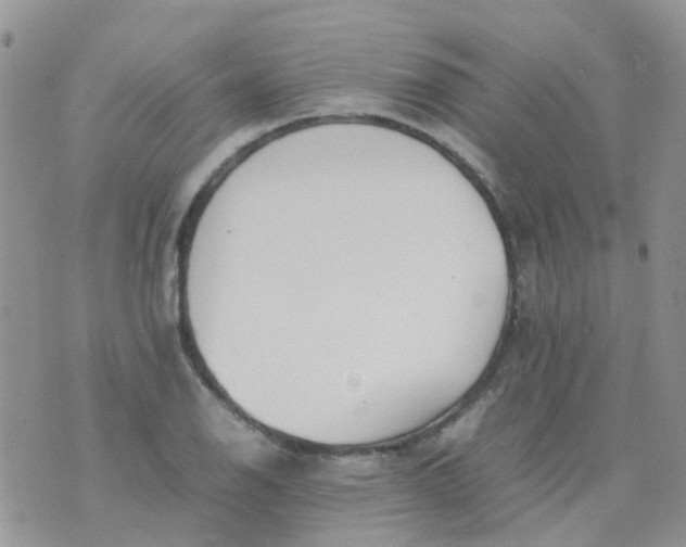 X0000074291126200609151910