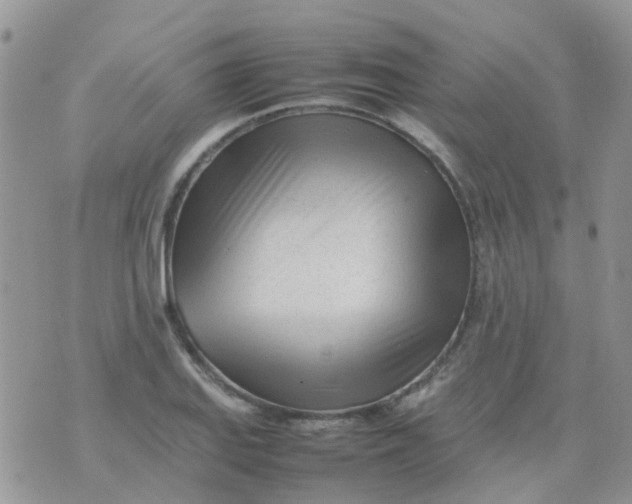 X0000074291127200609151910