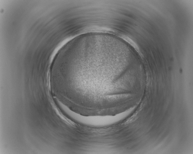 X0000074291128200609151910