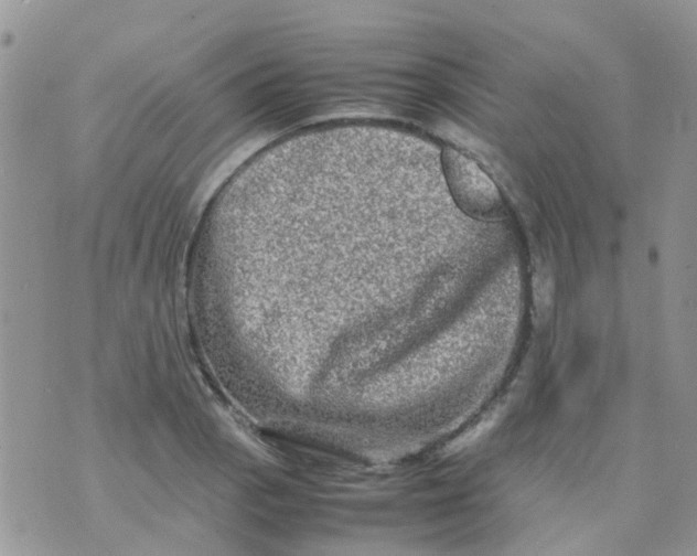 X0000074291129200609151910