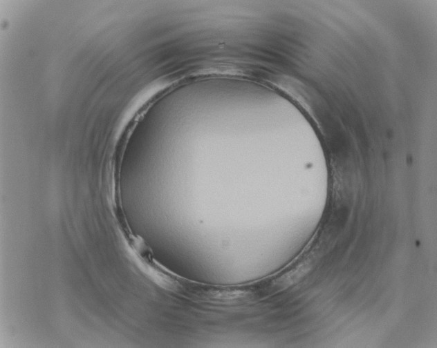 X0000074291131200609151910