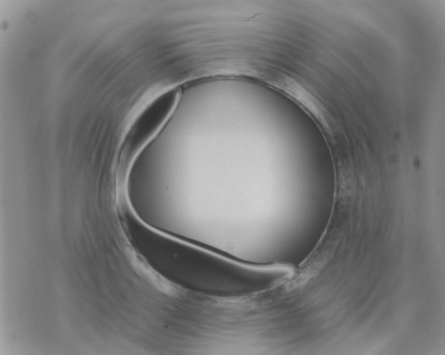 X0000074291132200609151910