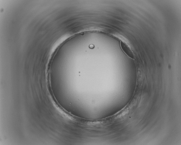 X0000074291135200609151910