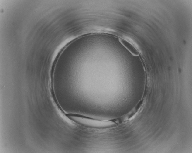 X0000074291136200609151910