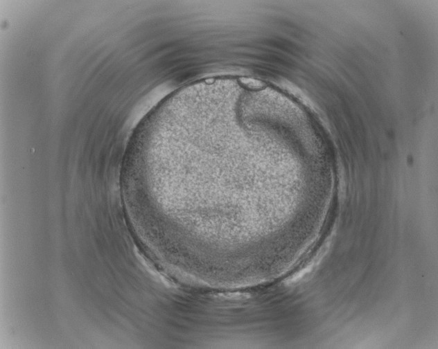 X0000074291137200609151910