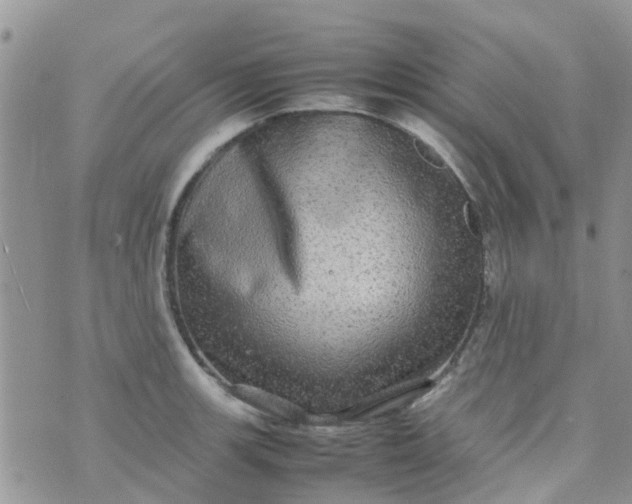 X0000074291139200609151910