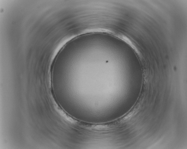 X0000074291140200609151910