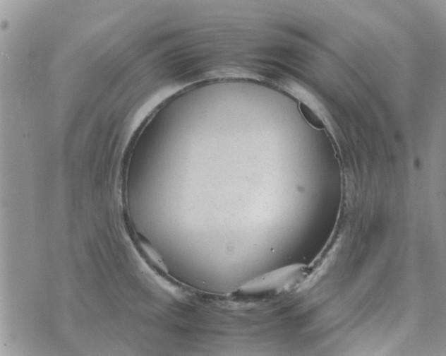 X0000074291141200609151910