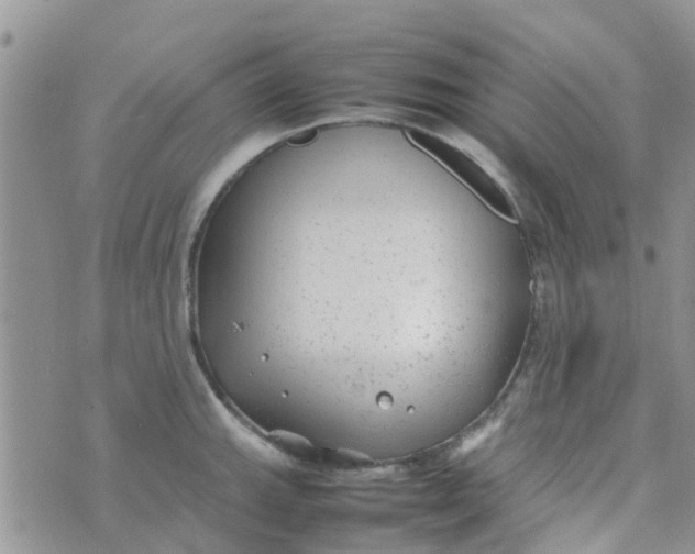 X0000074291143200609151910