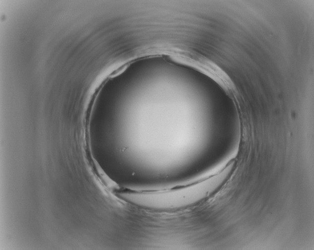 X0000074291144200609151910