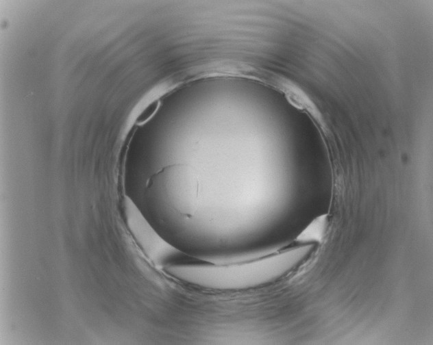 X0000074291146200609151910