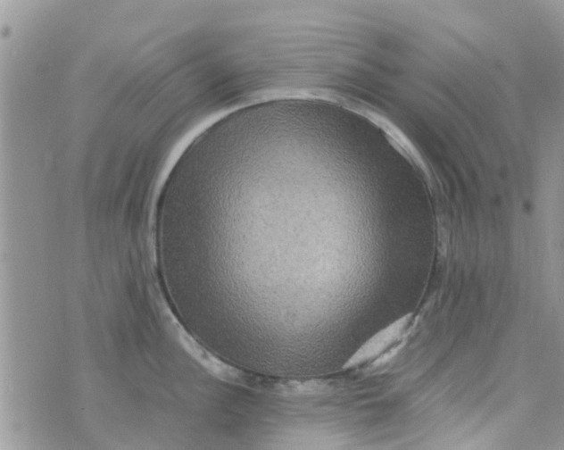 X0000074291148200609151910