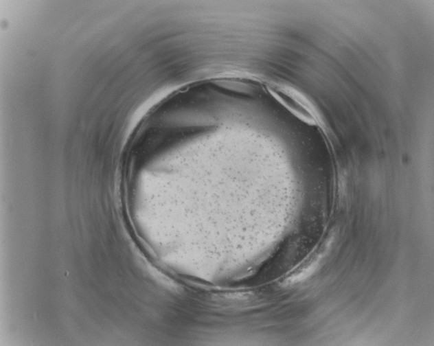 X0000074291149200609151910