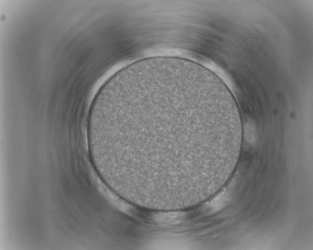 X0000074291150200609151910