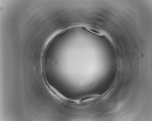 X0000074291151200609151910