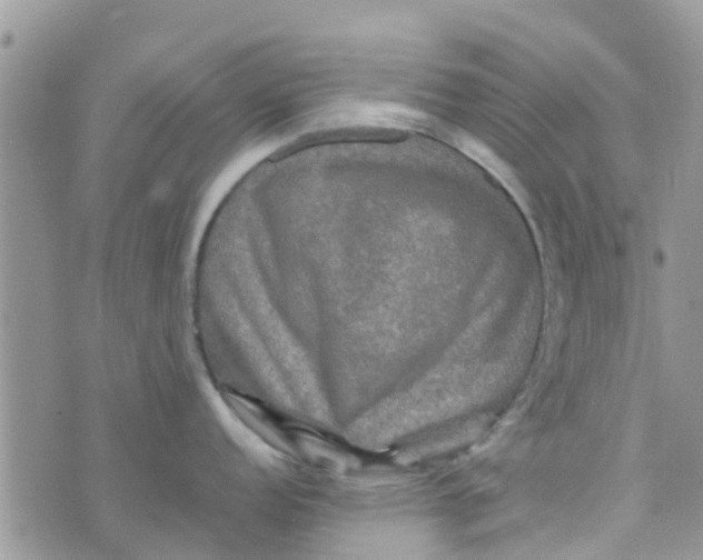 X0000074291152200609151910