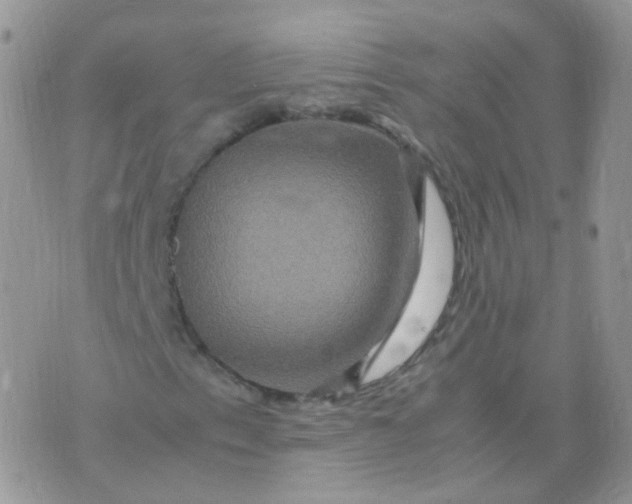 X0000074291153200609151910