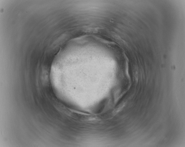 X0000074291154200609151910