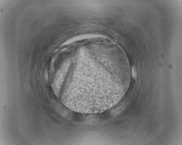 X0000074291155200609151910