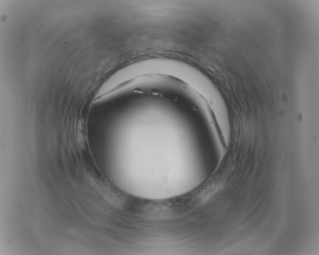 X0000074291156200609151910