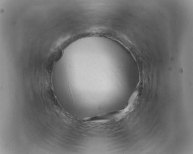 X0000074291158200609151909