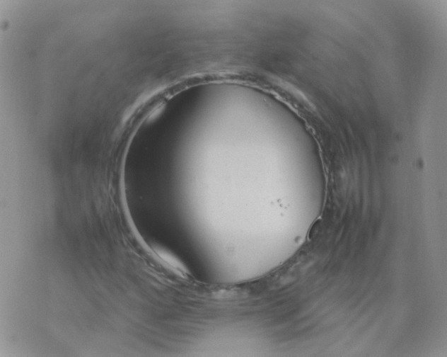 X0000074291160200609151909