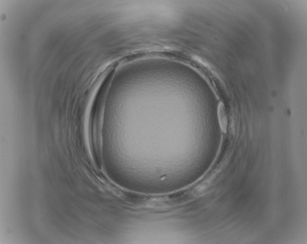 X0000074291161200609151909