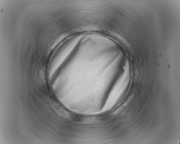 X0000074291162200609151909