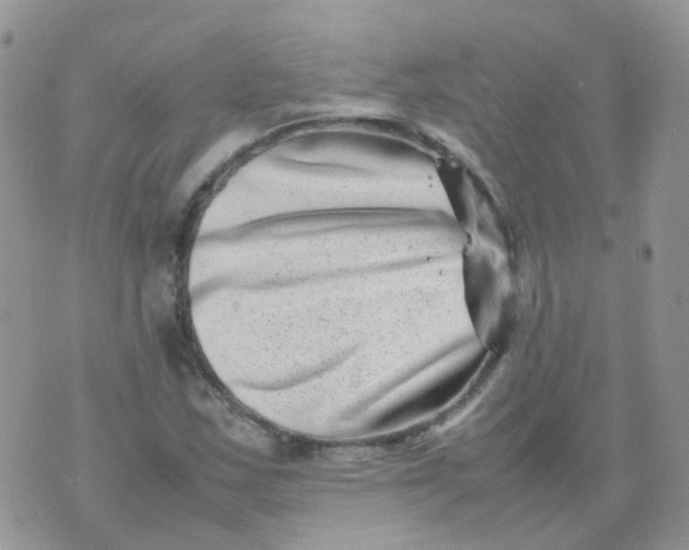 X0000074291163200609151909