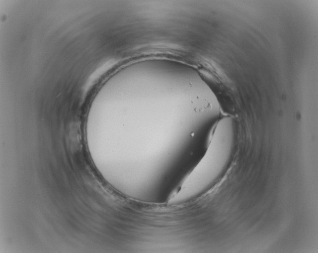 X0000074291164200609151909