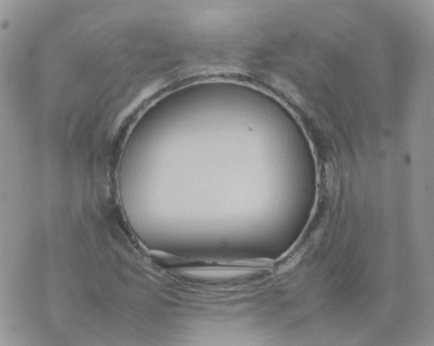 X0000074291165200609151909