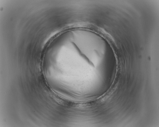 X0000074291166200609151909