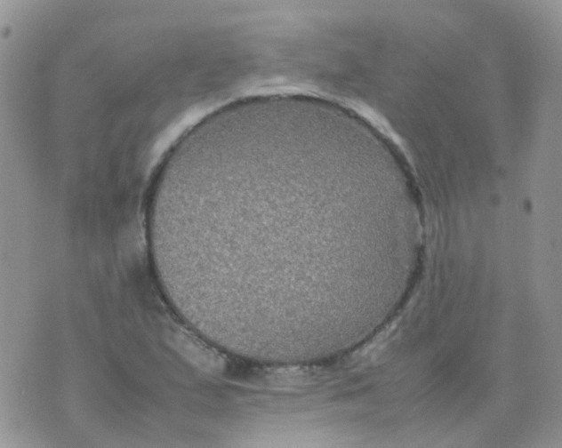 X0000074291167200609151909