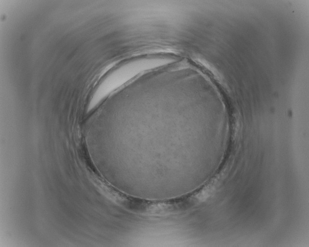 X0000074291169200609151909