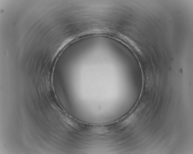 X0000074291170200609151909