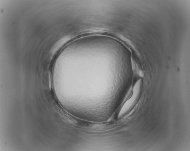 X0000074291171200609151909