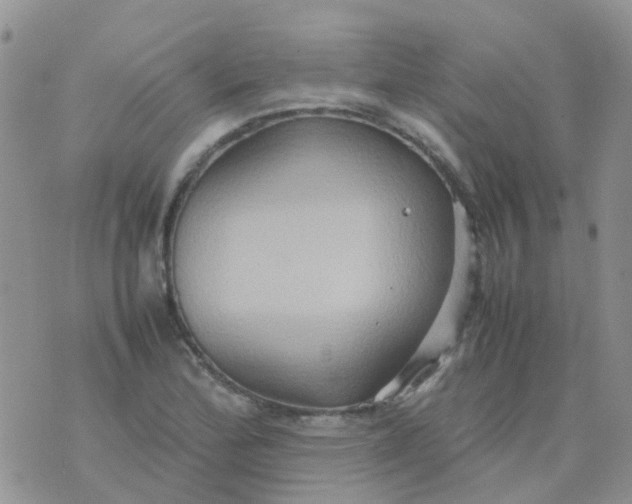 X0000074291172200609151909