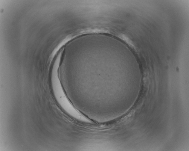 X0000074291173200609151909